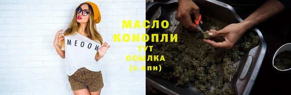 прущий лед Абаза