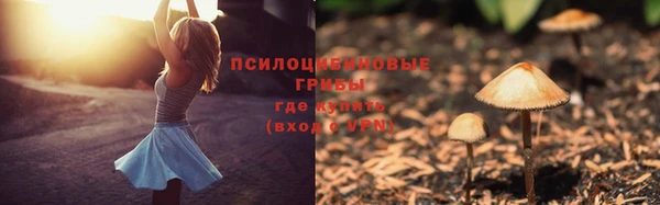 прущий лед Абаза