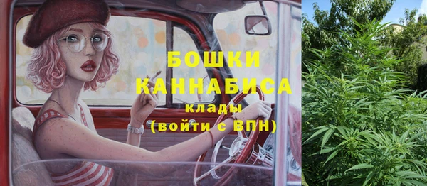 стаф Абдулино
