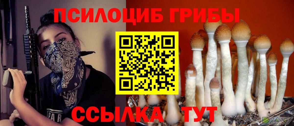Октябрьский  Галлюциногенные грибы прущие грибы  Вход с VPN 